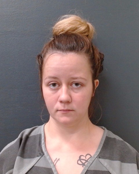 NELSON, KIMBERLY LYNN booking photo