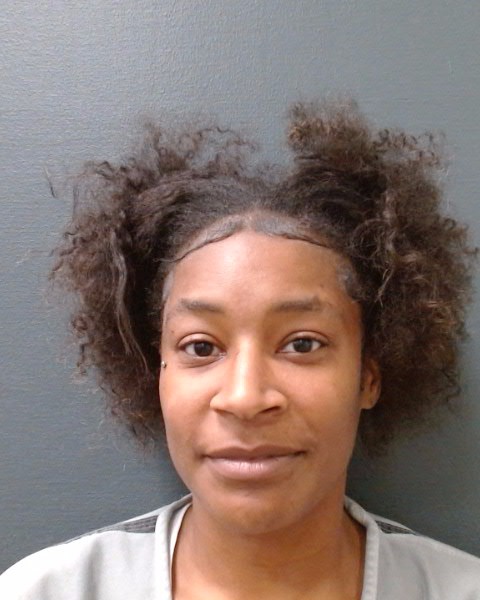 WILSON, TAMIKA JEAN booking photo