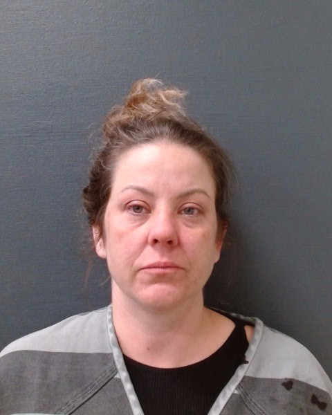 THOMPSON, BRANDI LYNN booking photo