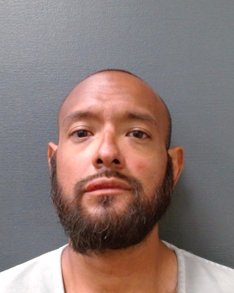 CASTILLEJA, JAVIER RENE, Jr. booking photo