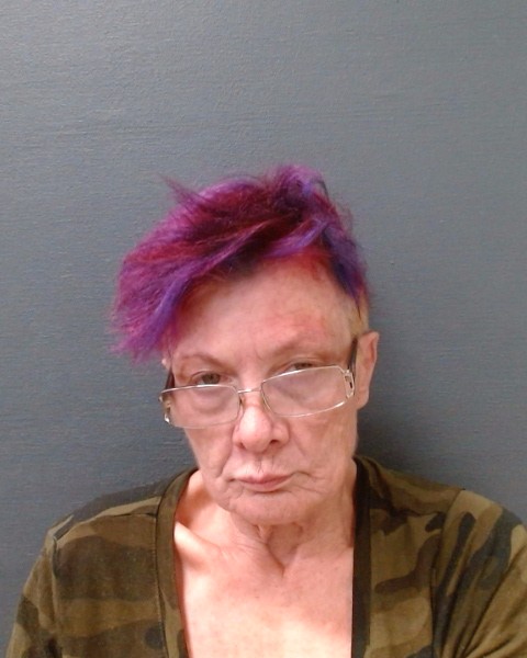 RUST-WIGGINS, TROI ADELE booking photo