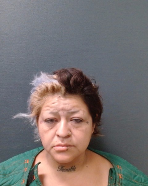 SALAZAR, SYLVIA booking photo