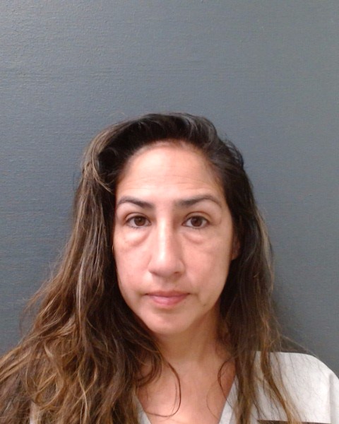 DEHOYOS FREIERT, NICOLE booking photo