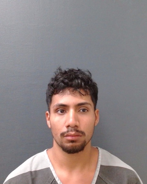 HERNANDEZ, CESAR DANIEL booking photo