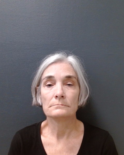 HAYNES, KIMBERLY ANN booking photo
