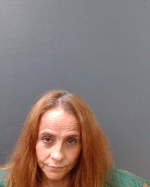 NUNEZ, ADELAIDA FRANCO booking photo