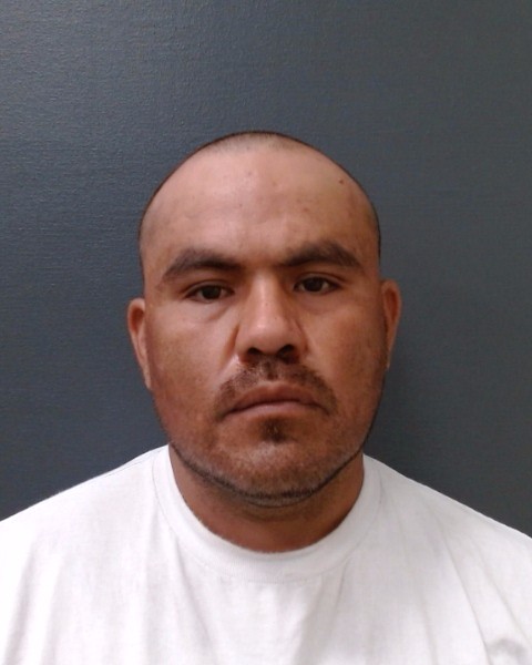 RODRIGUEZ IBARRA, FABIAN booking photo