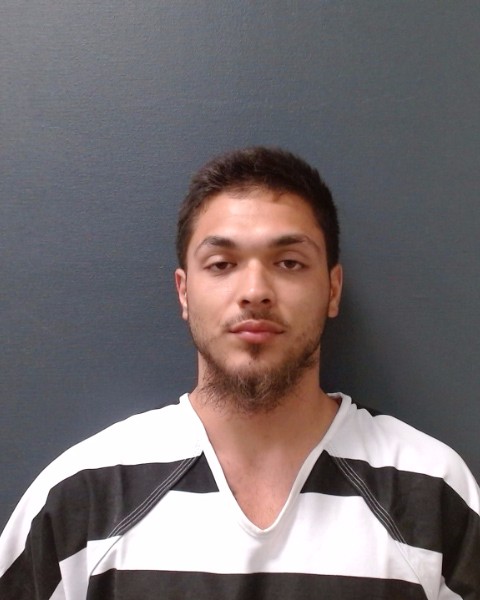 WILL, TIMOTHY ANSEL booking photo