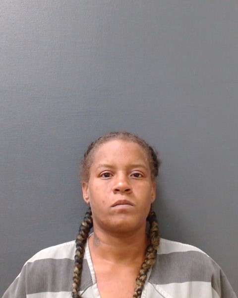 HENDRICKS, LAPORSHA ANN booking photo