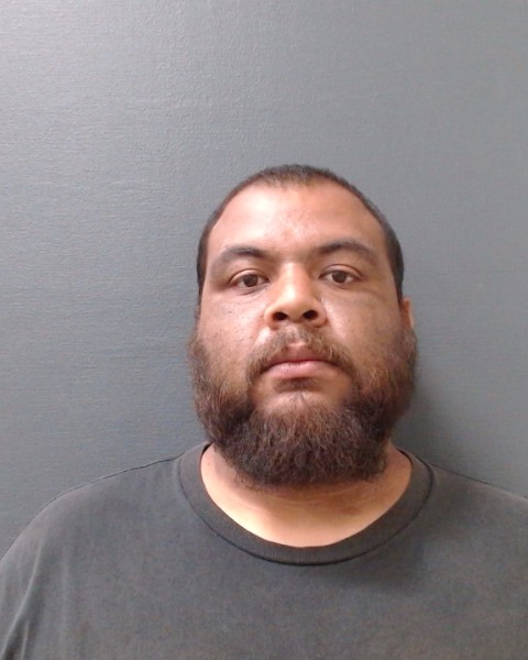 GUEVARA, ROBERT CHE booking photo