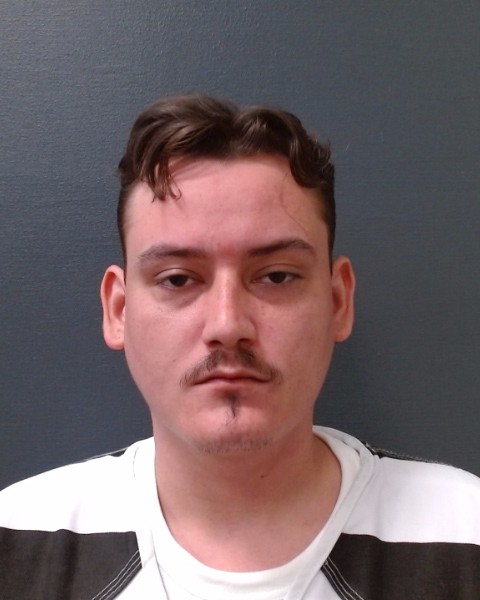 CHAPMAN, CAMERON LOVELL booking photo