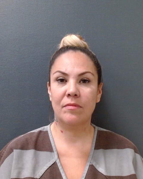 ALVAREZ, ROXANN ESTRADA booking photo