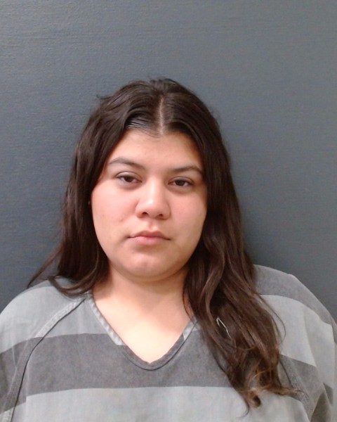 VALDOVINOS, NATALIE GUADALUPE booking photo