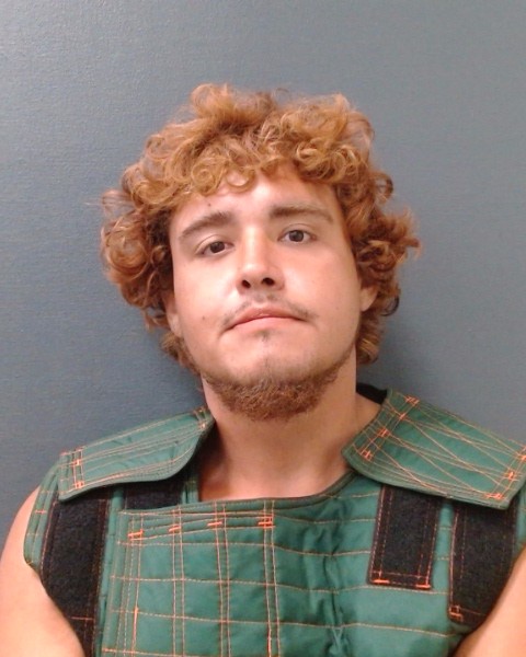 LOYA, ROMULO AURDAN, III booking photo