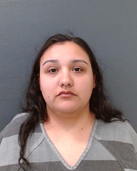 ALBIN, CYNTHIA DAWN booking photo