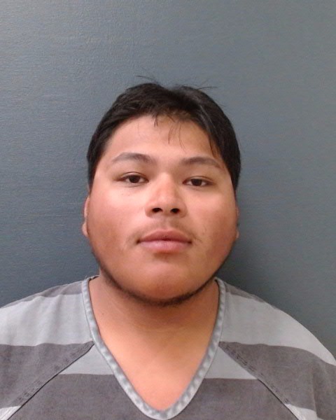 FLORES, ROLANDO, Jr. booking photo
