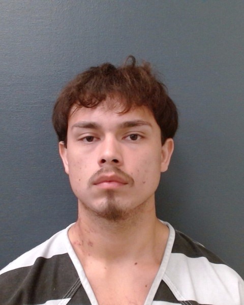 RICHMOND, NICODEMUS DADE booking photo