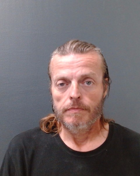 JOHNSON, RANDY MICHAEL booking photo