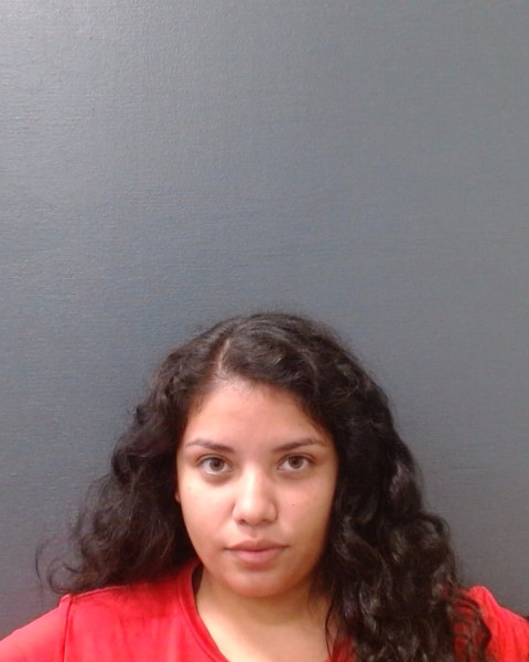 OCHOA, PAMELA ROSE booking photo