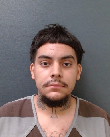 AVILA, SHAWN XAVIER booking photo