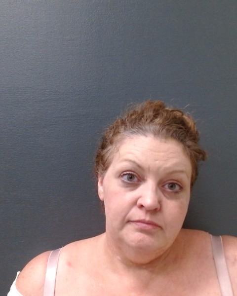 LEWIS, AMANDA MICHELLE booking photo