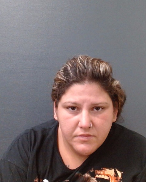 RHODES, KATHRIN ELIZABETH booking photo