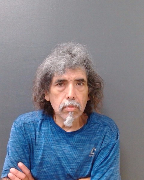 VILLARRCAL, DOMINGO G. booking photo