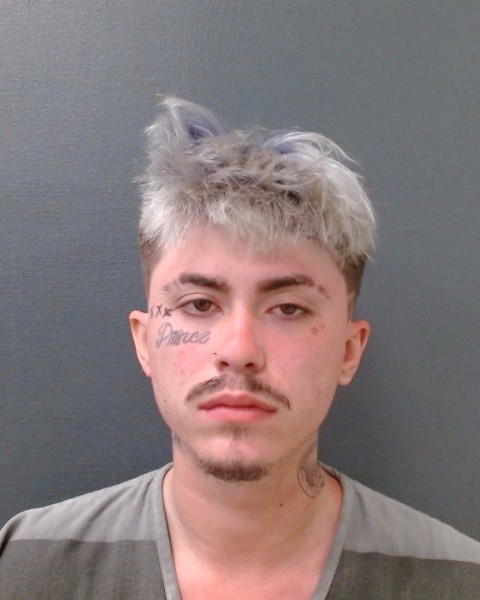 ERWIN, TIMOTHY HARVEY booking photo