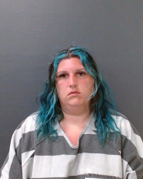 BURLEYSON, DELANEY CHEYENNE booking photo