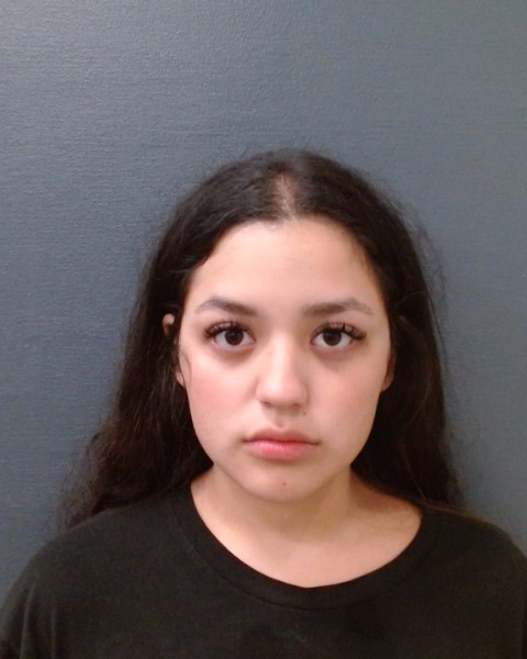 LINO, ALISSA JUANITA JAYLEN booking photo