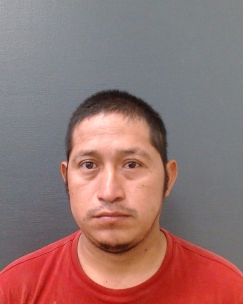 PELICO-RAMIREZ, MIGUEL BENITO booking photo