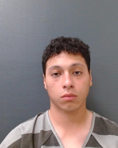 AYALA, MIGUEL booking photo