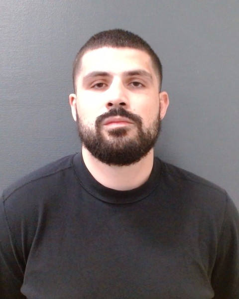 BITGOOD, SEAN WILLIAM booking photo