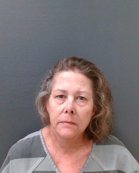 BELLOWS, DAWN MICHELLE booking photo