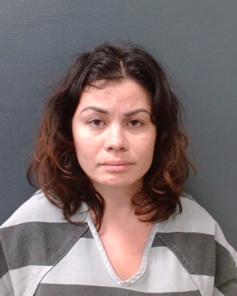 HULL, JANELLE PACKARD booking photo
