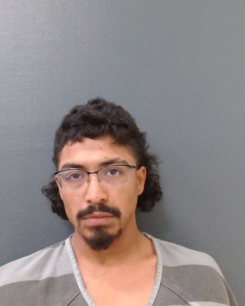 LEMUS-MEDINA, ANDI RAUL booking photo