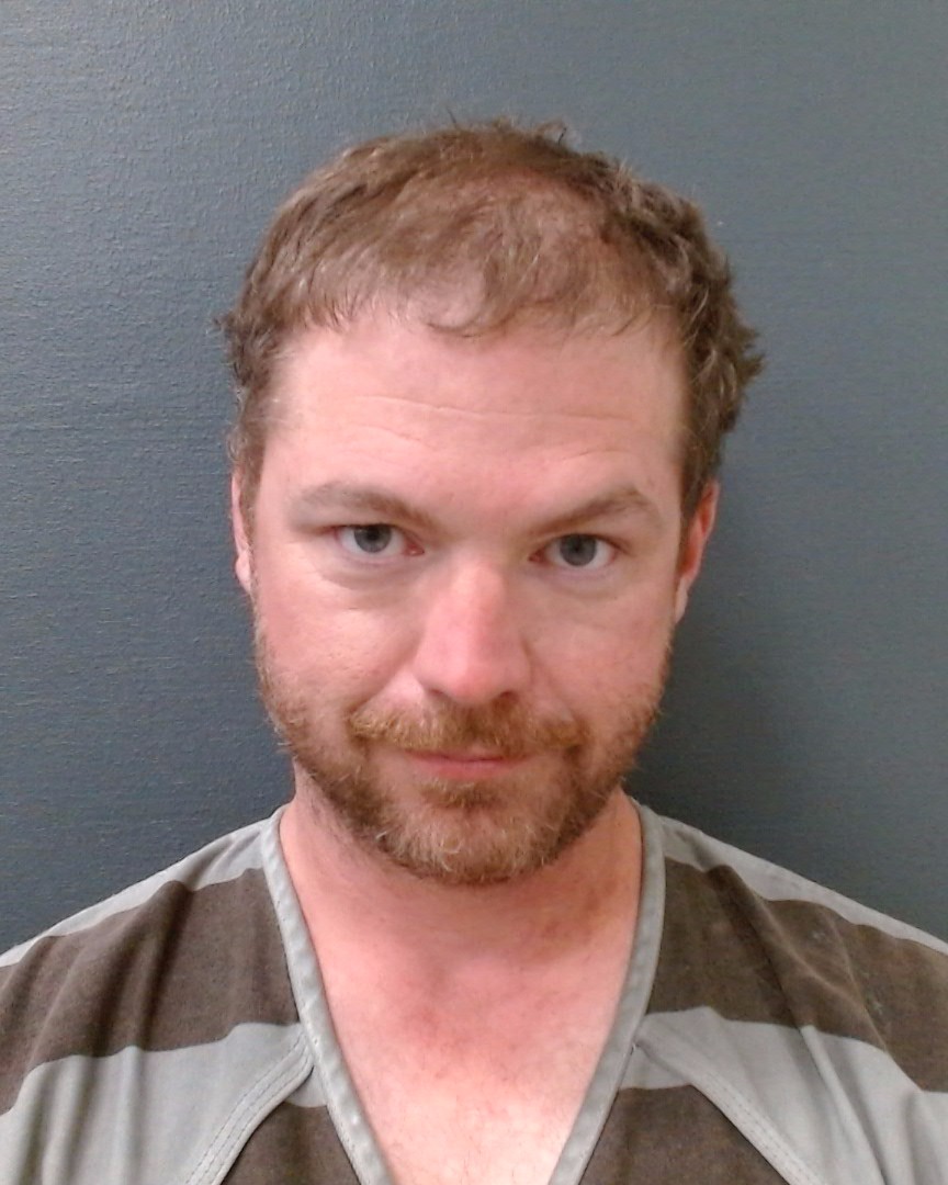 BAUERSCHLAG, WALTER HENRY booking photo