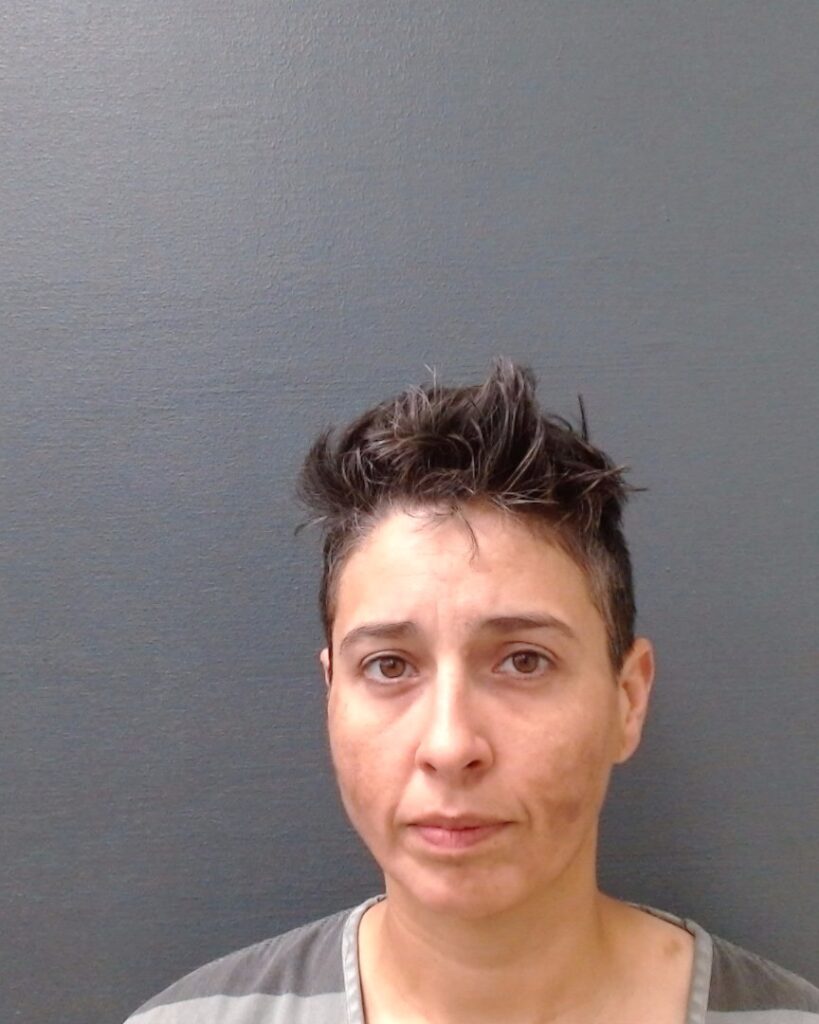 CASTILLO, BRIANNA LAURA arrested in Comal County, Texas mugshot