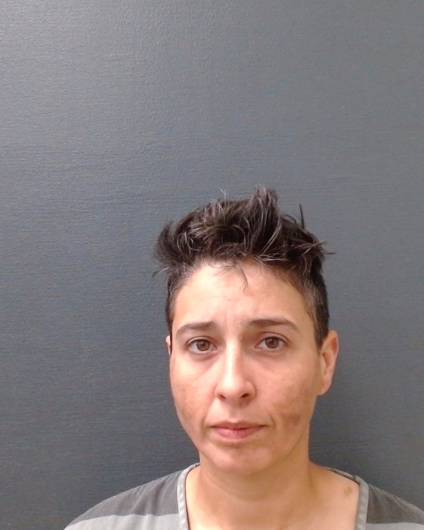 CASTILLO, BRIANNA LAURA booking photo