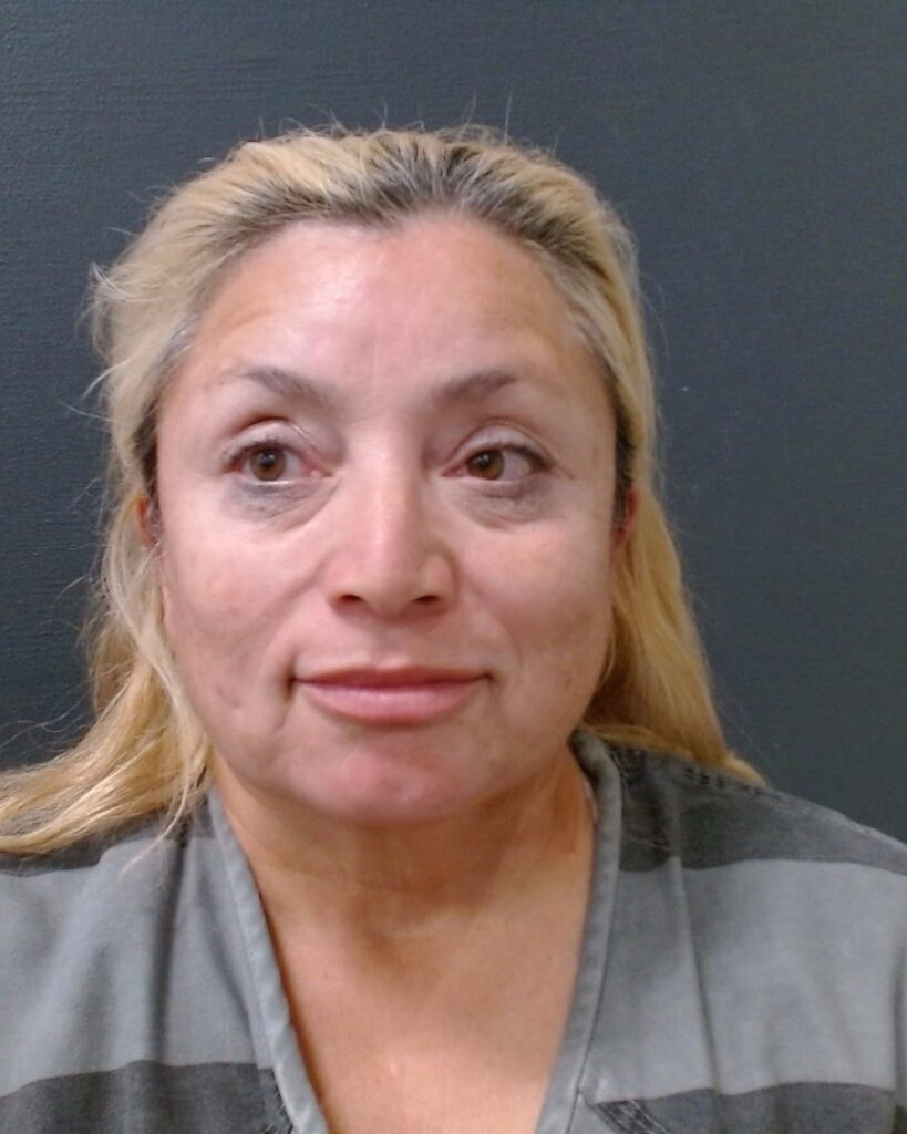 FLORES, MARIA LUISA arrest record in Comal County, Texas FLORES, MARIA LUISA arrested in Comal County, Texas mugshot