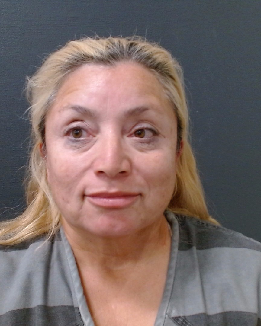 FLORES, MARIA LUISA booking photo
