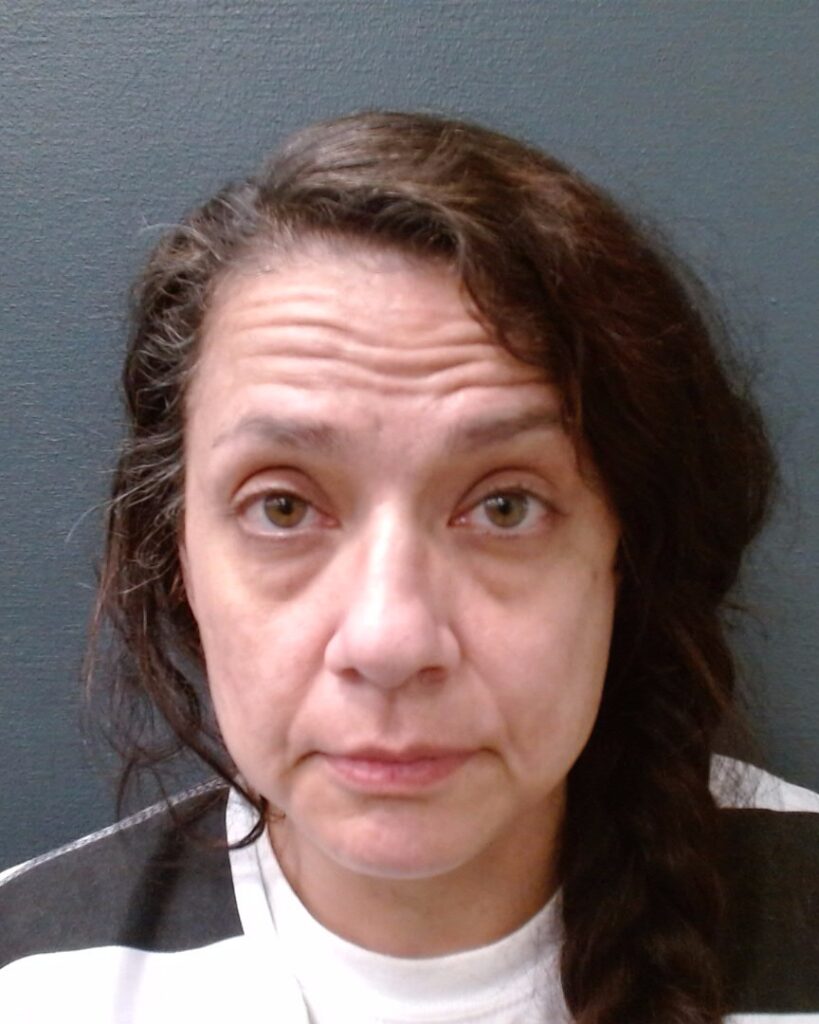 NOBLES, ERICA ANN arrest record in Comal County, Texas NOBLES, ERICA ANN arrested in Comal County, Texas mugshot