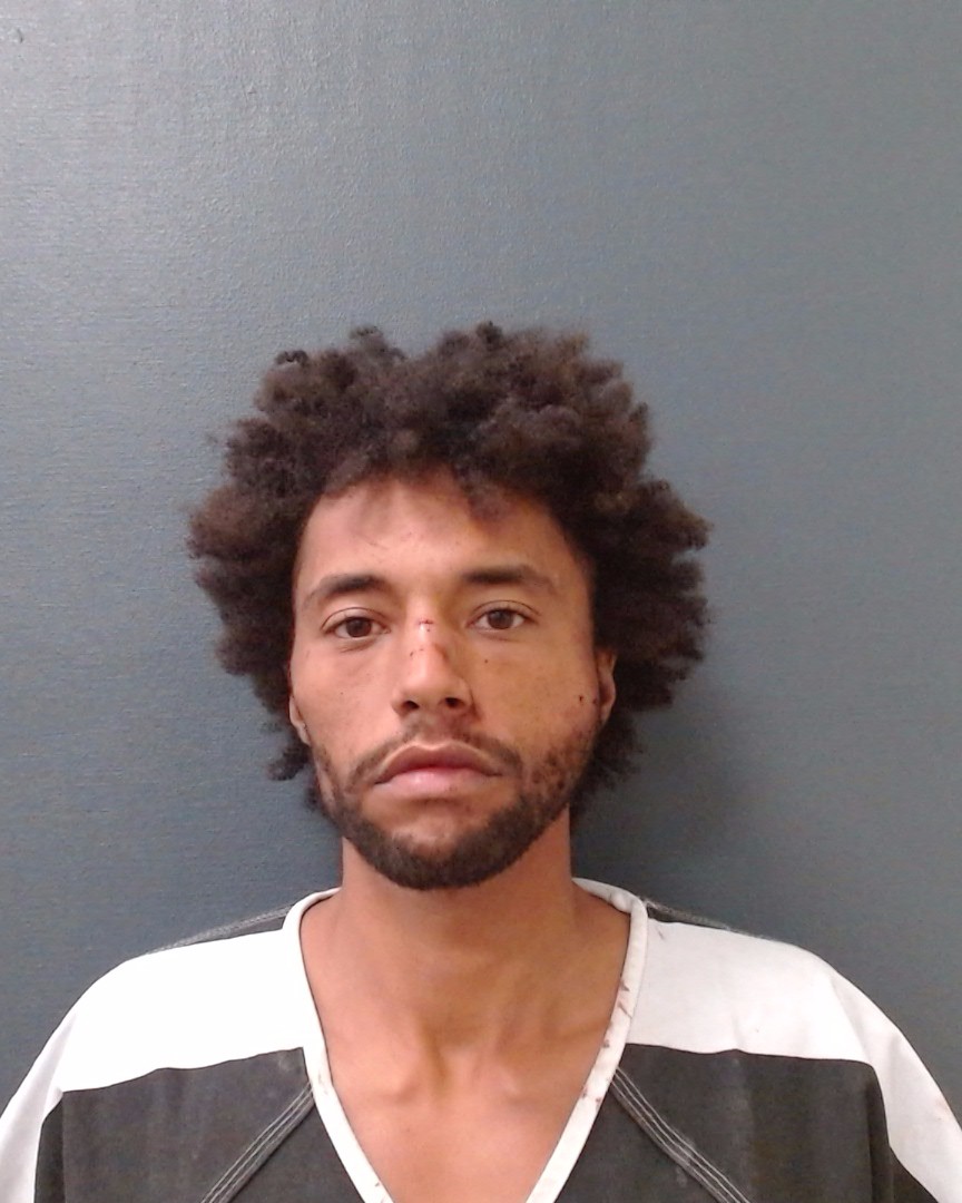 DAVIS, NAMDI EZRA booking photo