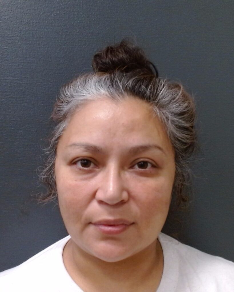 CHANCELLOR, DAYNA MARIE arrest record in Comal County, Texas CHANCELLOR, DAYNA MARIE arrested in Comal County, Texas mugshot