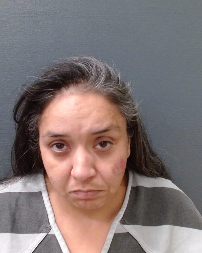 SALAZAR, ERVIA JEAN arrested in Comal County, Texas mugshot