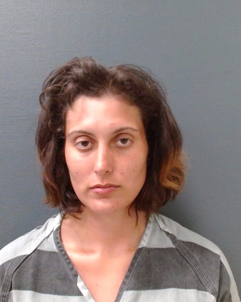 PILLOFF, MICHELLE arrested in Comal County, Texas mugshot