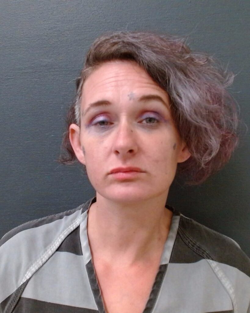 ZEAGLER, HEATHER LOREN arrested in Comal County, Texas mugshot