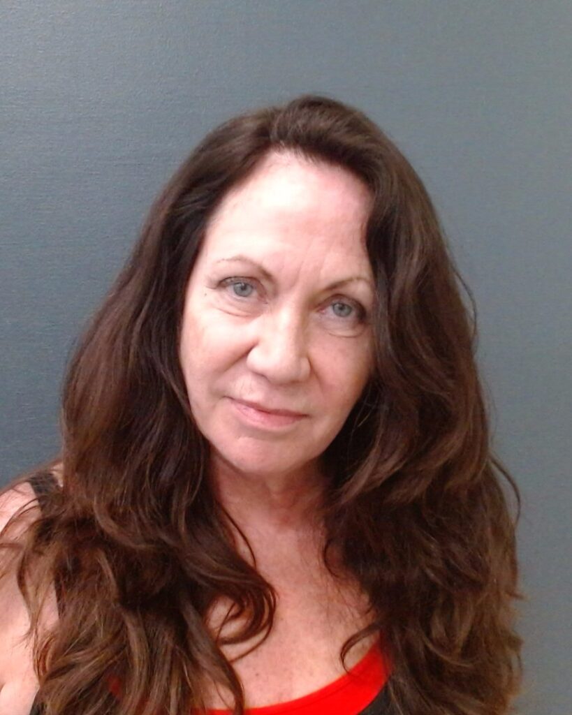KULBERG, MERI CLAIRE arrested in Comal County, Texas mugshot