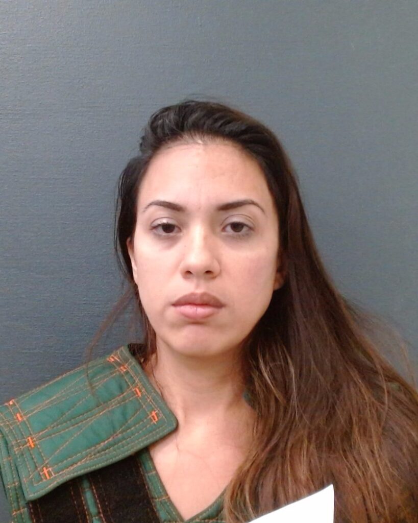 PEREZ, ADELAIDA arrested in Comal County, Texas mugshot