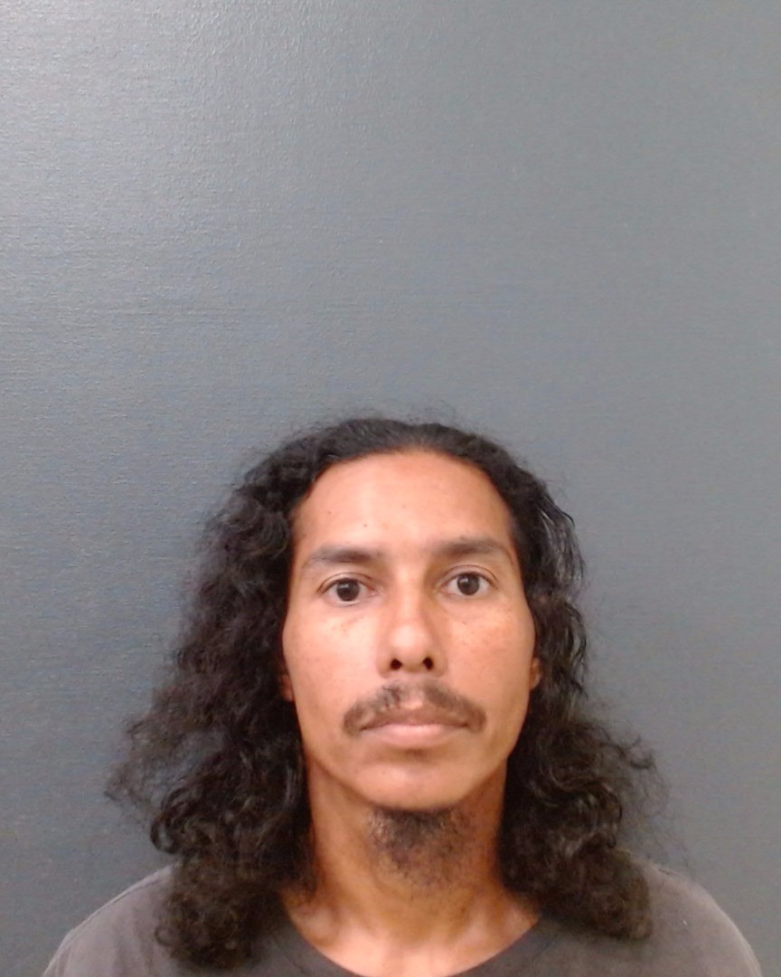 ROSALES, VICENTE AGAPITO booking photo